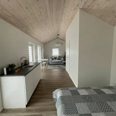 Roko House Apartment Anyksciai Exterior photo